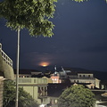 IMG 8463