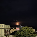 IMG 8465