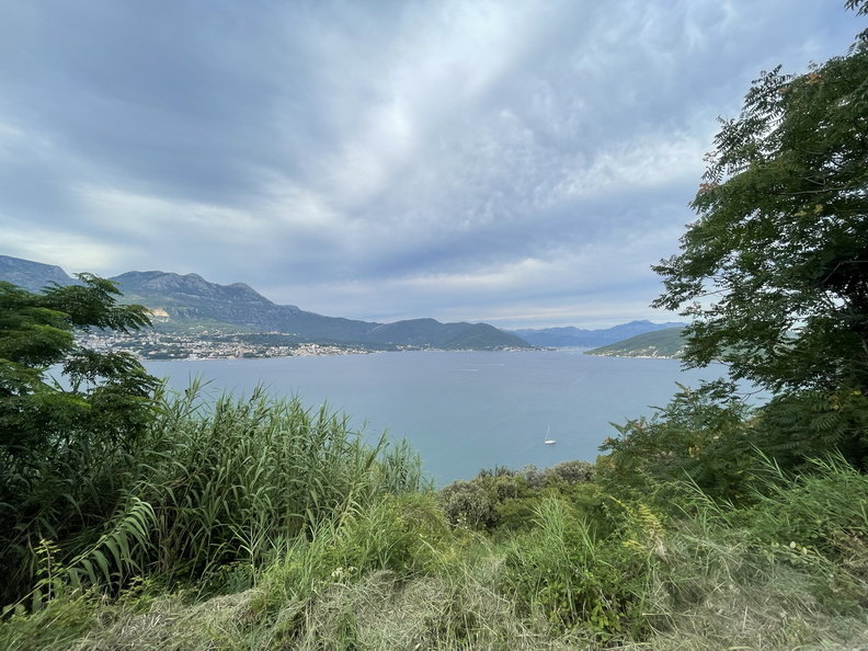 IMG_0868.jpeg