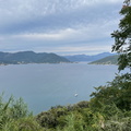 IMG 0867