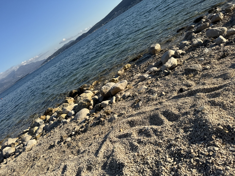 IMG_4924.jpeg
