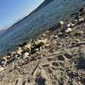 IMG 4924