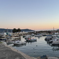IMG 4710